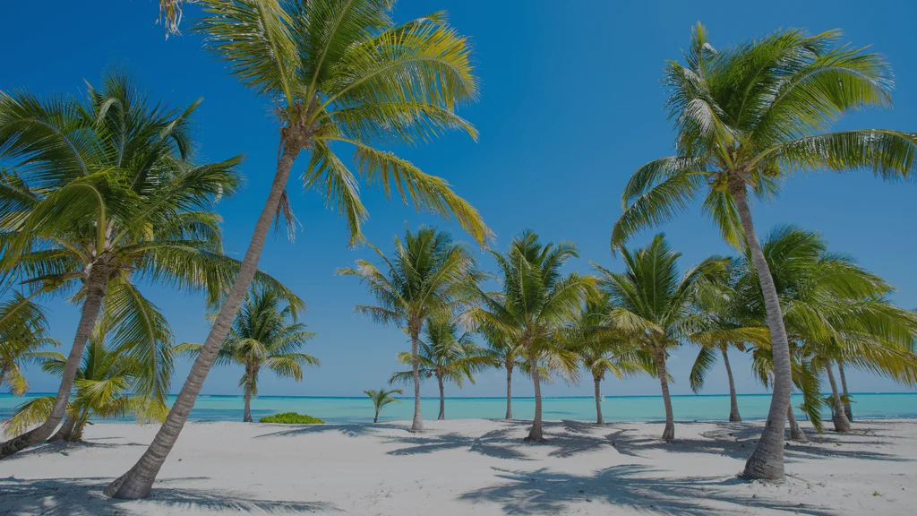 User-provided image: 6925a08e3fc07d472c1a5291_2-min.png