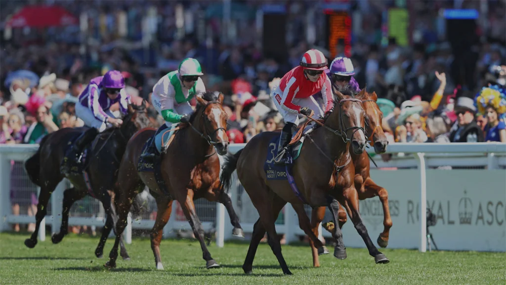 User-provided image: 67cebf6b9209deccb9944150_Untitled-1.jpg